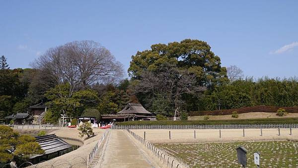 20140131_Kansai_Lumix_047.jpg