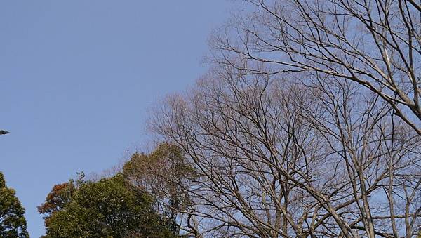 20140131_Kansai_Lumix_060.jpg