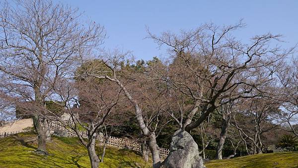 20140131_Kansai_Lumix_091.jpg