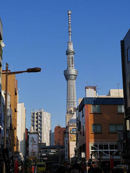 20140222_Tokyo_Simba_051.jpg