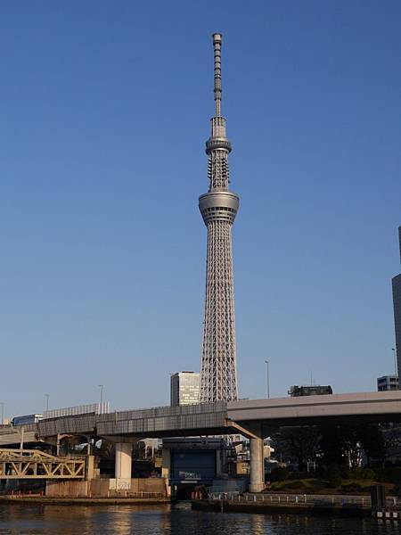 20140222_Tokyo_Simba_067.jpg