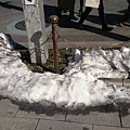 20140222_Tokyo_Z1_009.jpg