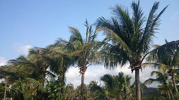 20140322_Kenting_071.jpg