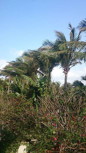 20140322_Kenting_072.jpg