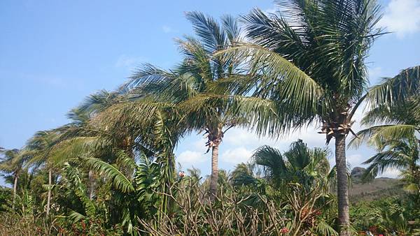 20140322_Kenting_214.jpg