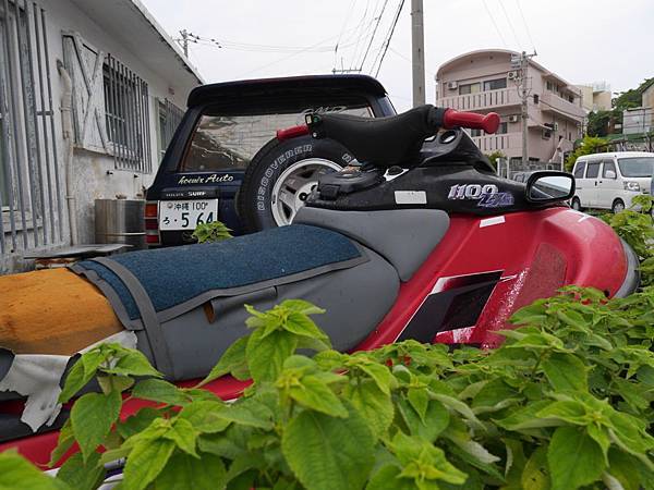 20140501_Okinawa_Simba_044.jpg