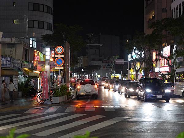 20140501_Okinawa_Simba_115.jpg