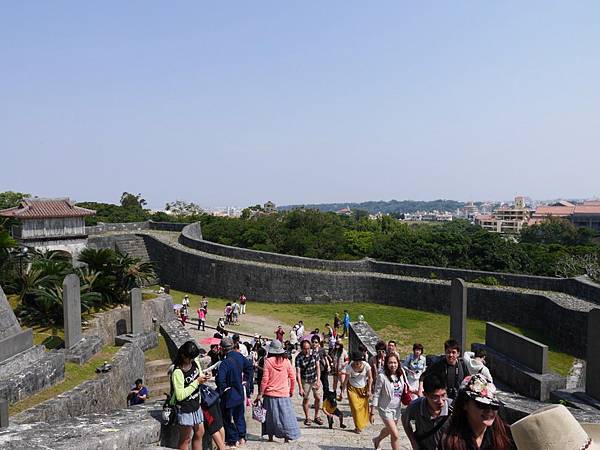 20140501_Okinawa_Simba_312.jpg