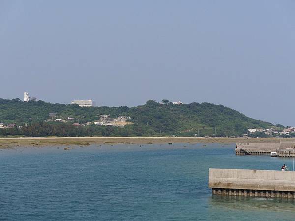 20140501_Okinawa_Simba_374.jpg