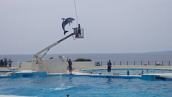 20140501_Okinawa_Sony_229.jpg