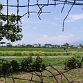 20140801_Taitung_Lumix_152.jpg