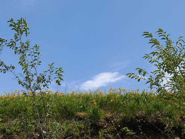 20140801_Taitung_Lumix_180.jpg