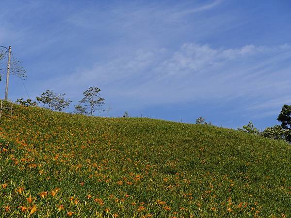 20140801_Taitung_Lumix_200.jpg