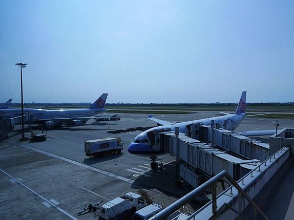 20140809_Kyushu_Simba_06.jpg