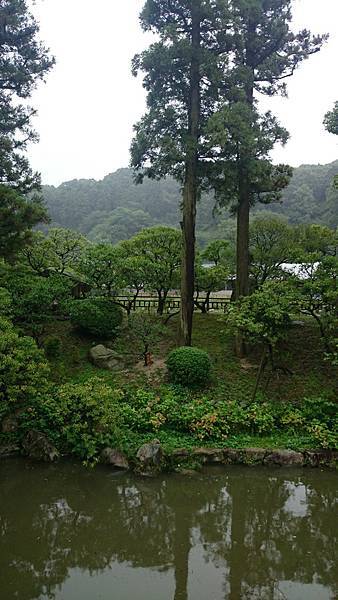 20140810_Kyushu_Sony_18.jpg