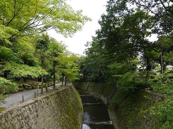 20140813_Kyushu_Simba_085.jpg