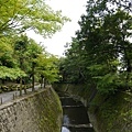 20140813_Kyushu_Simba_085.jpg