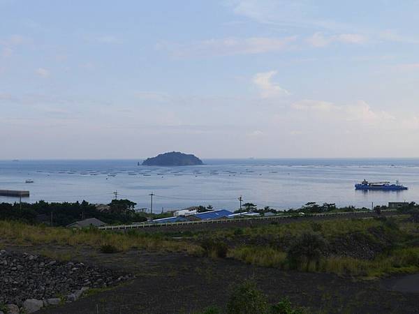 20140813_Kyushu_Simba_144.jpg