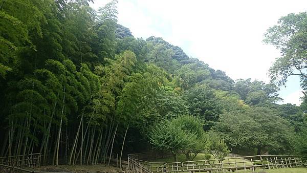 20140813_Kyushu_Sony_072.jpg