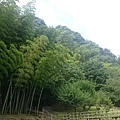 20140813_Kyushu_Sony_072.jpg