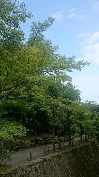 20140813_Kyushu_Sony_074.jpg