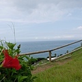 20140814_Kyushu_Simba_148.jpg