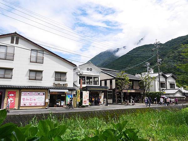 20140816_Kyushu_Simba_69.jpg