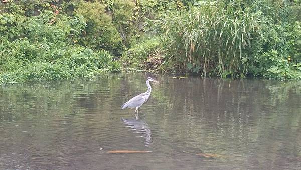 20140816_Kyushu_Sony_026.jpg