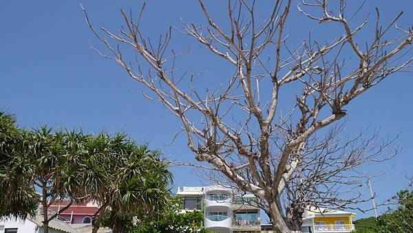 20140909_Kenting_Lumix_014.jpg