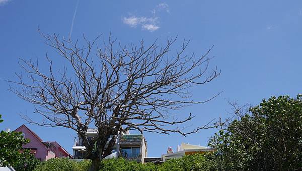 20140909_Kenting_Lumix_121.jpg