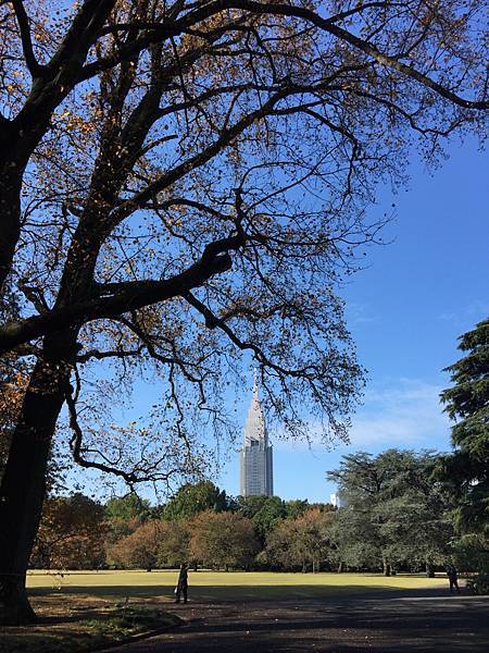 20141120_Tokyo_iPhone_060.jpg