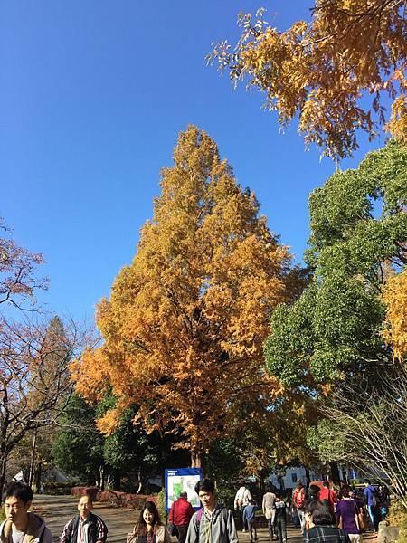 20141120_Tokyo_iPhone_260.jpg