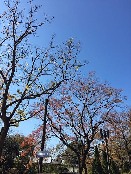 20141120_Tokyo_iPhone_261.jpg