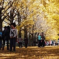 20141120_Tokyo_Lumix_184.jpg