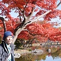 20141120_Tokyo_Lumix_200.jpg