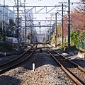 20141120_Tokyo_Lumix_215.jpg