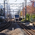 20141120_Tokyo_Lumix_217.jpg