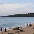 20141219_Kenting_Simba_77.jpg