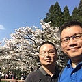 20150318_Alishan_iPhone_057.jpg