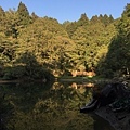 20150318_Alishan_iPhone_095.jpg