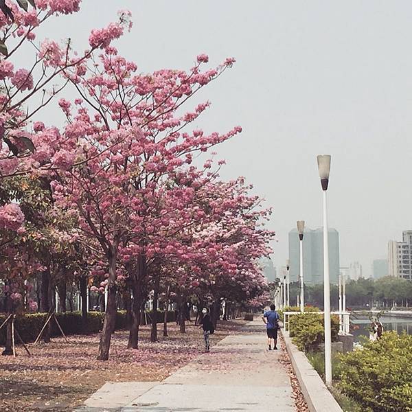 20150324_KHH_Flowers_71.jpg