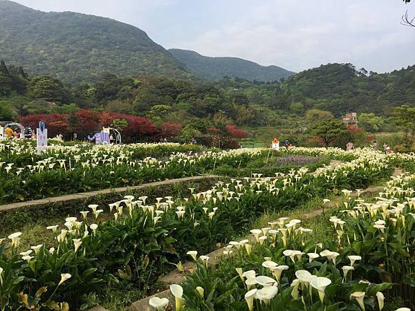 20150330_Yanmingshan_Haoyu_093.jpg