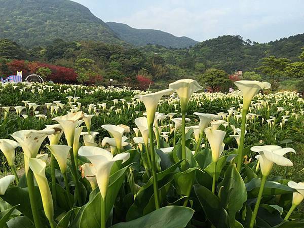 20150330_Yanmingshan_Haoyu_094.jpg