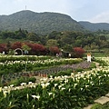 20150330_Yanmingshan_Haoyu_095.jpg