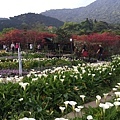 20150330_Yanmingshan_Haoyu_097.jpg