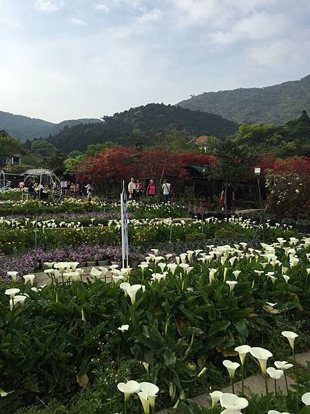 20150330_Yanmingshan_Haoyu_098.jpg