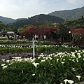 20150330_Yanmingshan_Haoyu_098.jpg