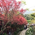 20150330_Yanmingshan_Haoyu_102.jpg