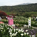 20150330_Yanmingshan_Haoyu_113.jpg