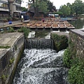 20150531_iPhone_Cambridge_Uni_277.jpg